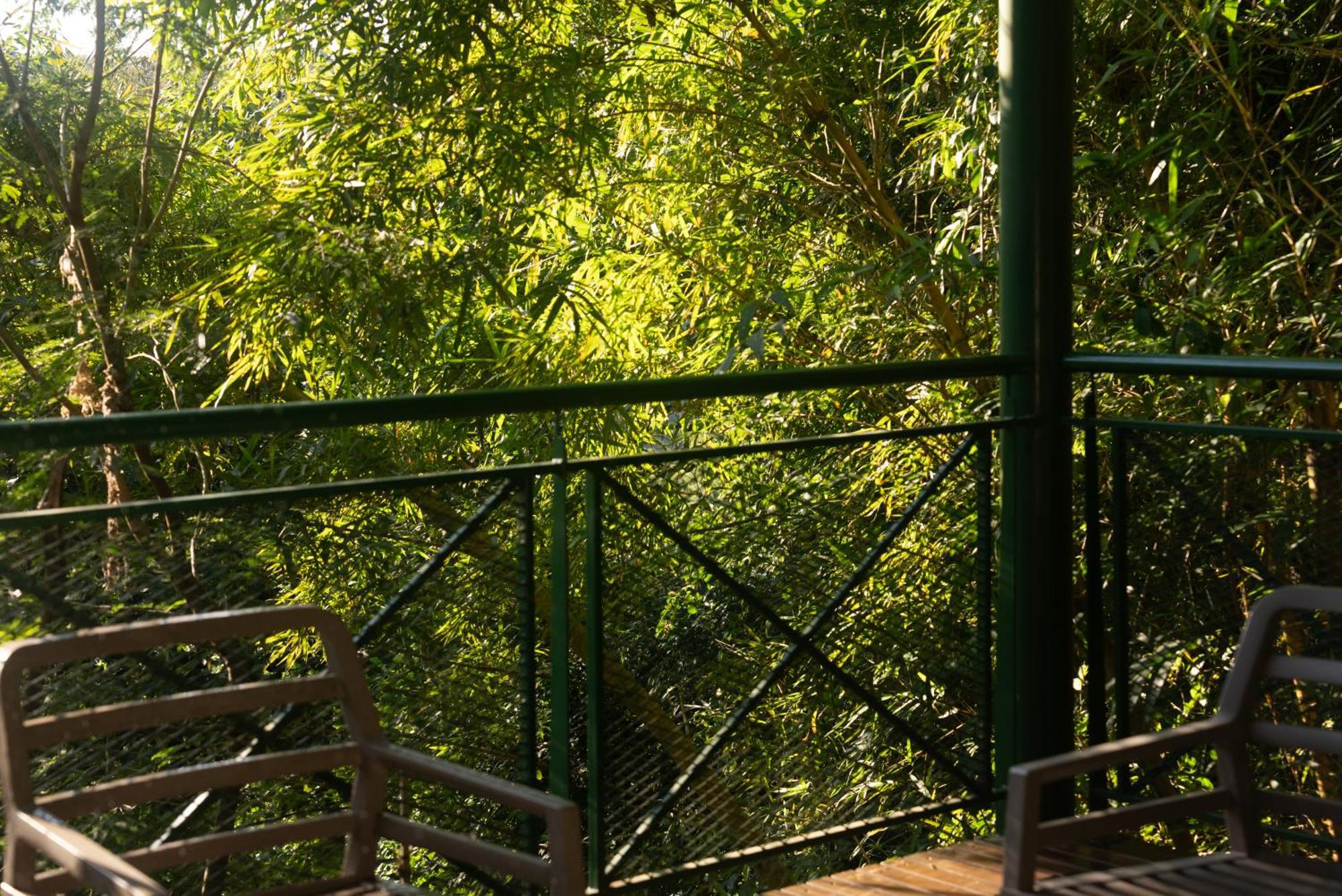 Iguazu Jungle Lodge Puerto Iguazú Zewnętrze zdjęcie